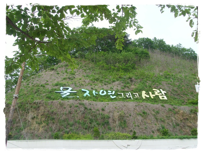 SNV34060.JPG