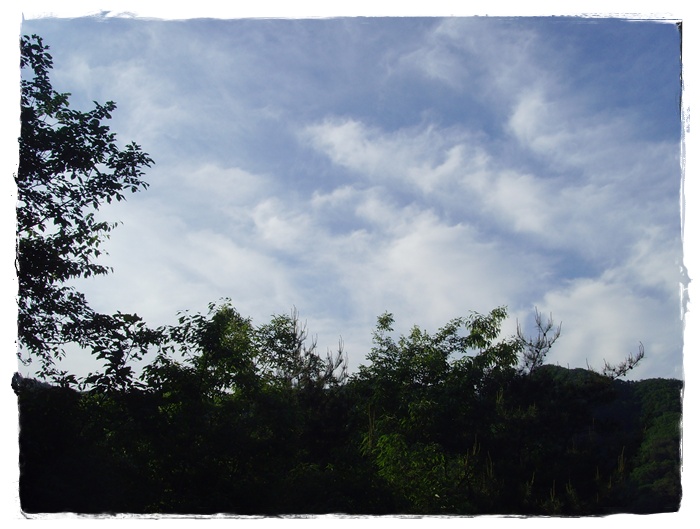 SNV34117.JPG
