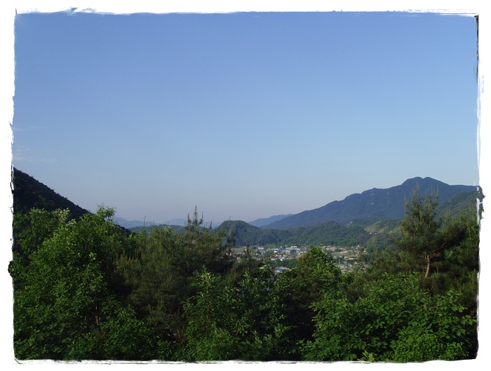 SNV34125.JPG