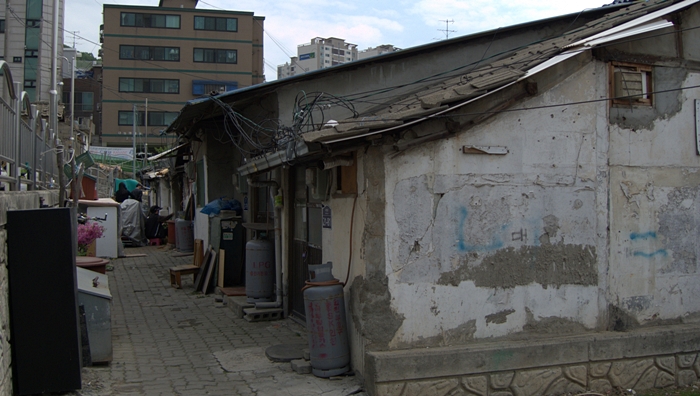 P1050634.jpg