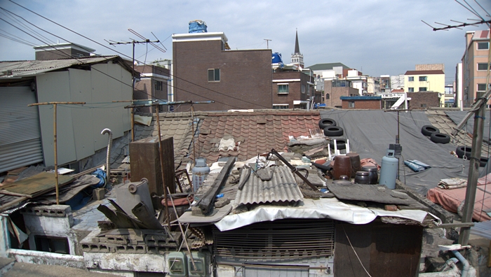 P1050647.jpg