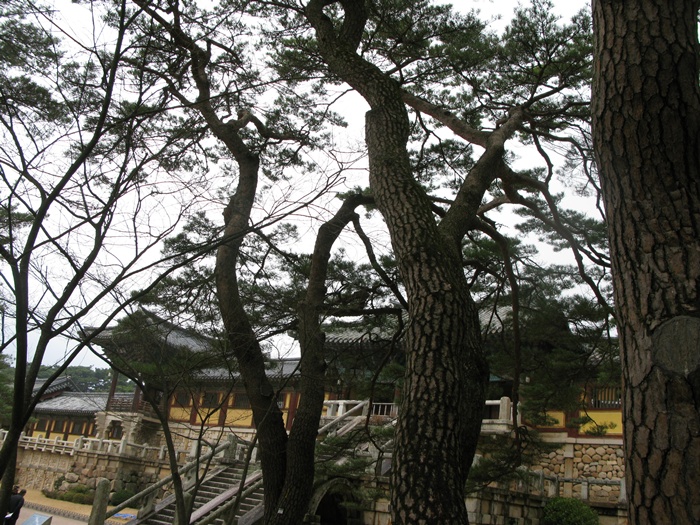 IMG_6545.JPG