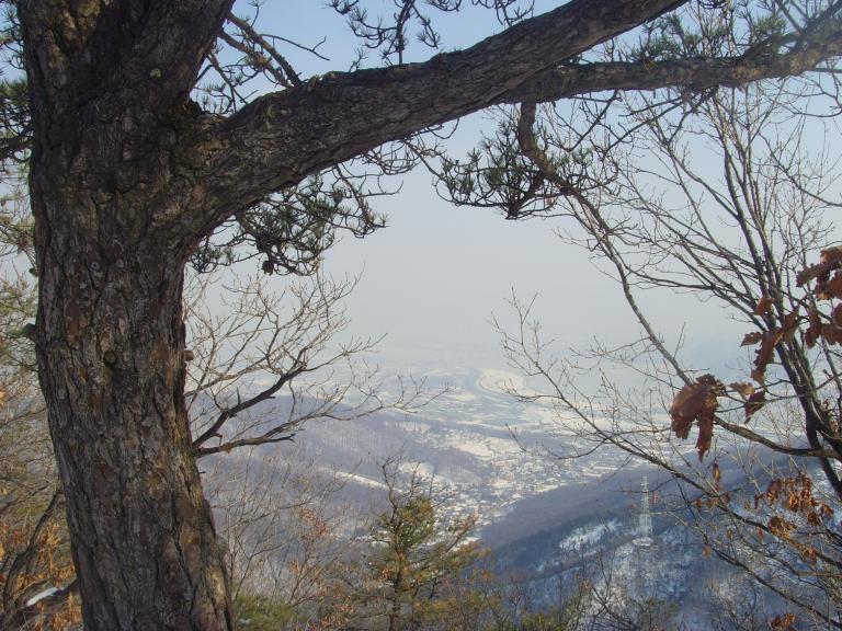 SNV38968.JPG
