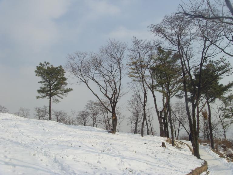 SNV38976.JPG
