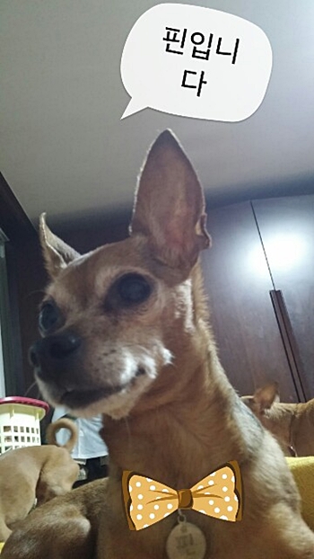 KakaoTalk_20140614_150648051.jpg