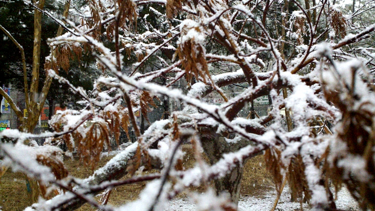 2010-03-22_15-20-59_379.jpg