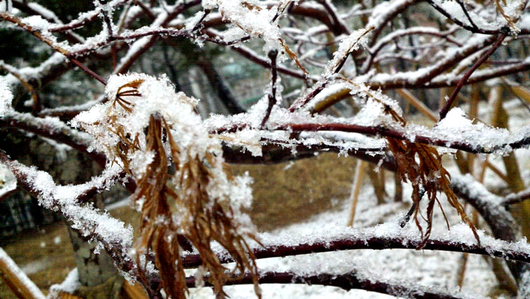 2010-03-22_15-22-22_644.jpg