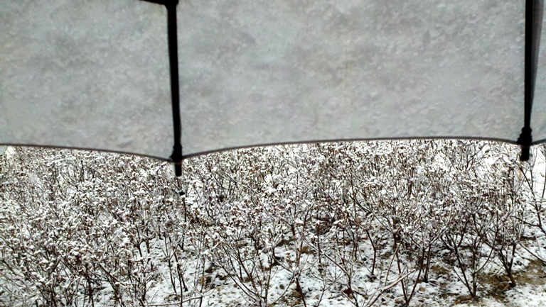 2010-03-22_15-24-12_122.jpg
