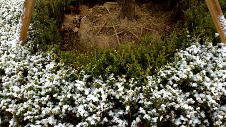 2010-03-22_15-27-03_633.jpg