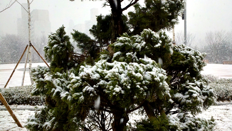 2010-03-22_15-27-39_309.jpg