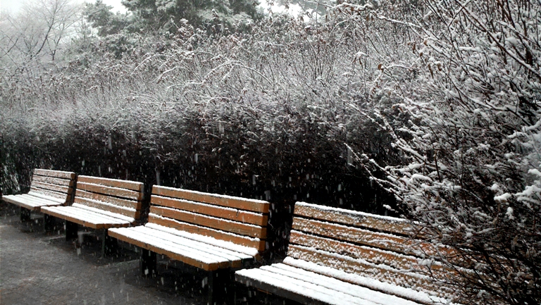 2010-03-22_15-34-39_65.jpg