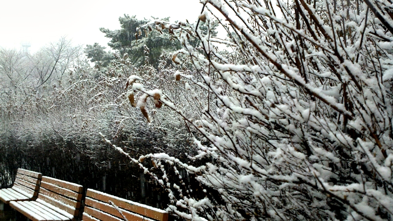 2010-03-22_15-34-56_392.jpg