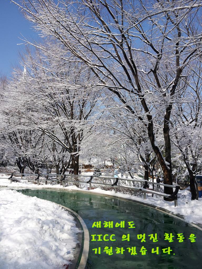 120130206_105516.jpg