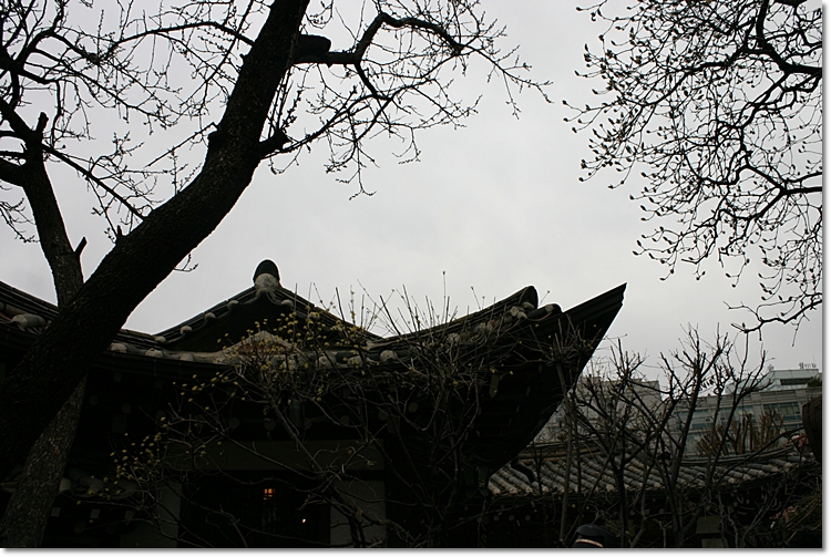 iicc-20130330-21.JPG