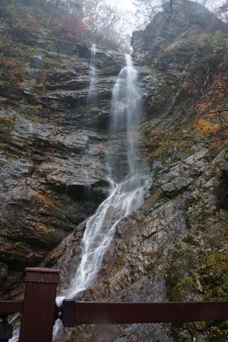 DSC05417.JPG