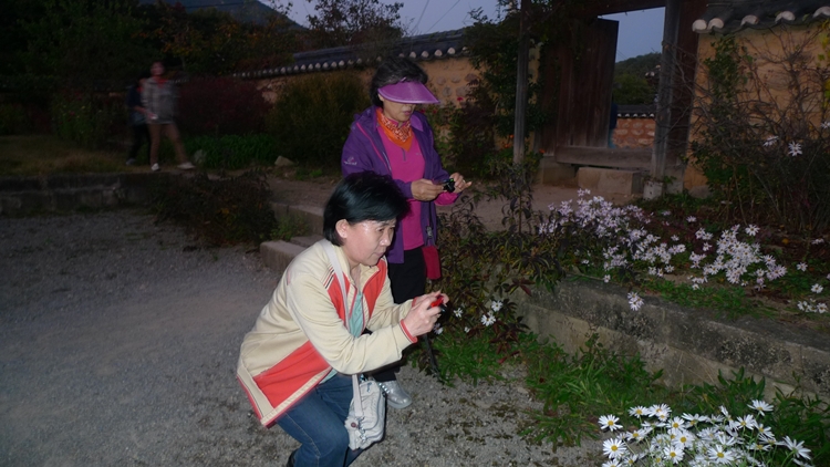 경주-120101024-381001.JPG