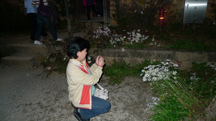 경주-120101024-383001.JPG