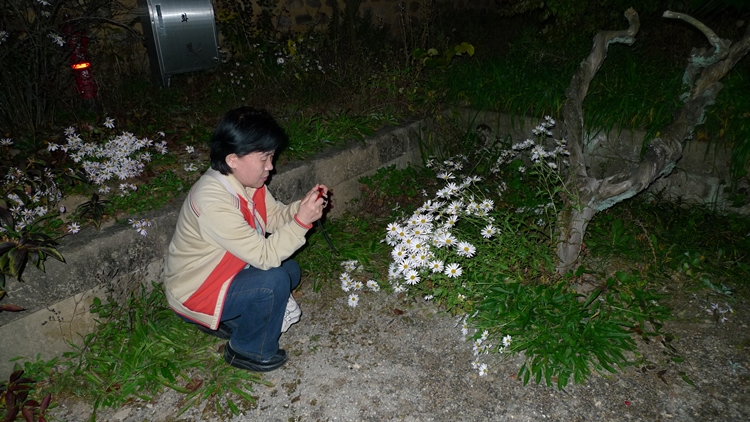 경주-120101024-384001.JPG