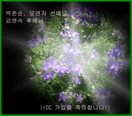 d-DSC00664.JPG