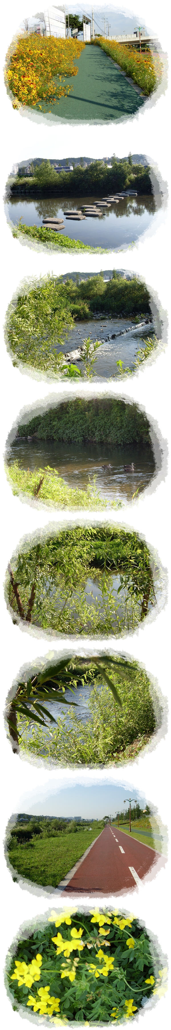 SDC10181.JPG