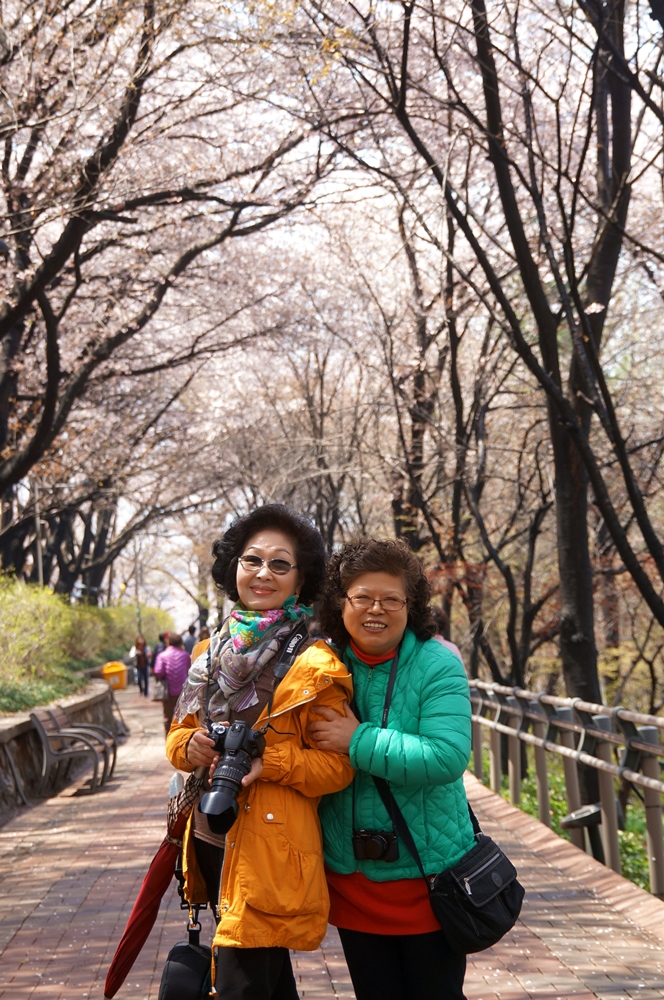 DSC08772-2.JPG