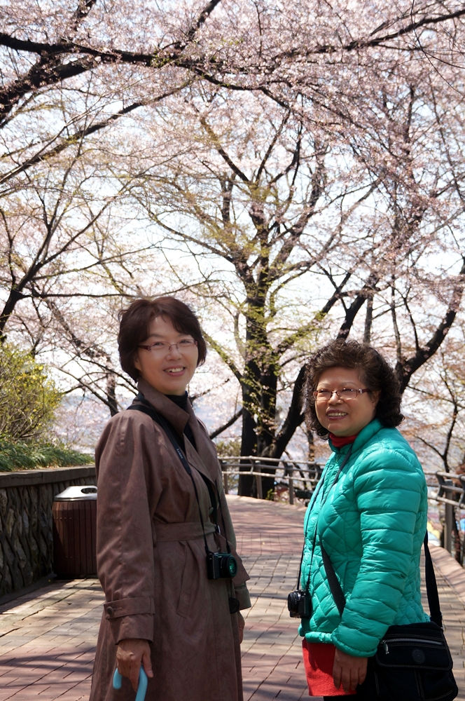DSC08779-2.JPG