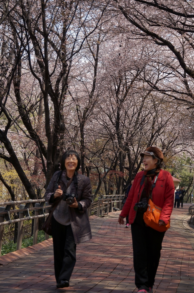 DSC08786-2.JPG