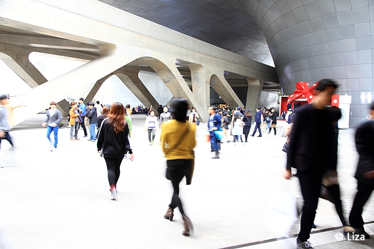 DPP_0034.JPG