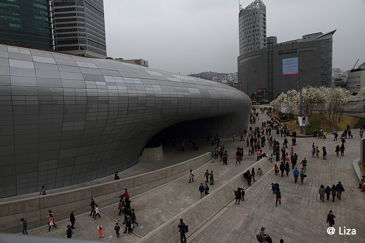 DPP_0040.JPG
