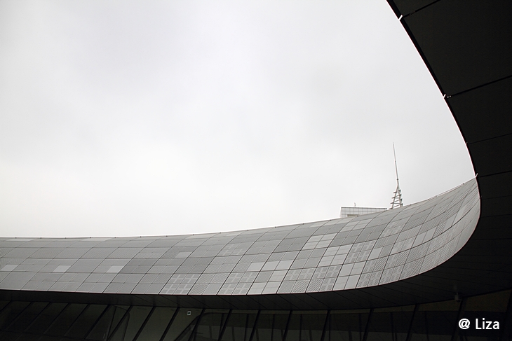 DPP_0061.JPG