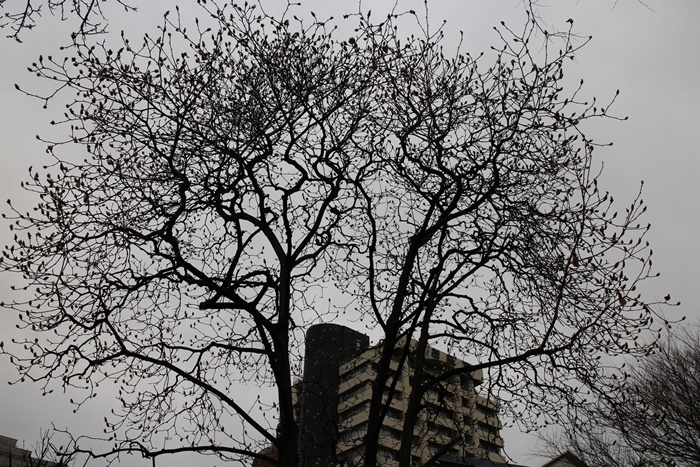 EOS 3-30 065.jpg