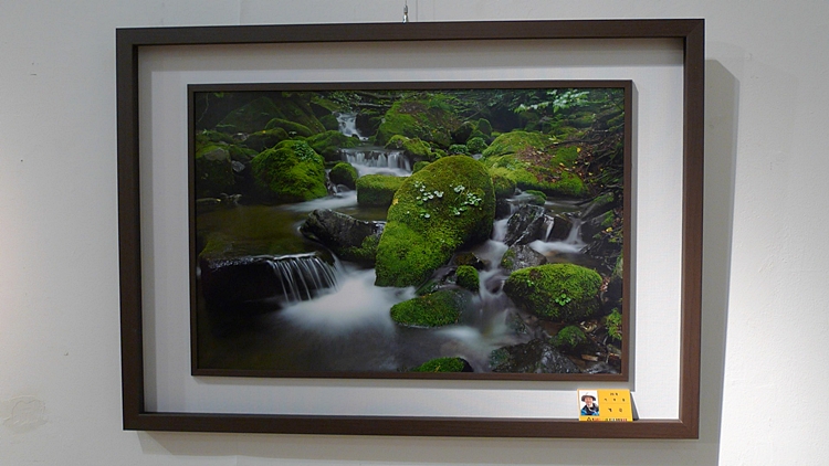 hg-P1110750.JPG