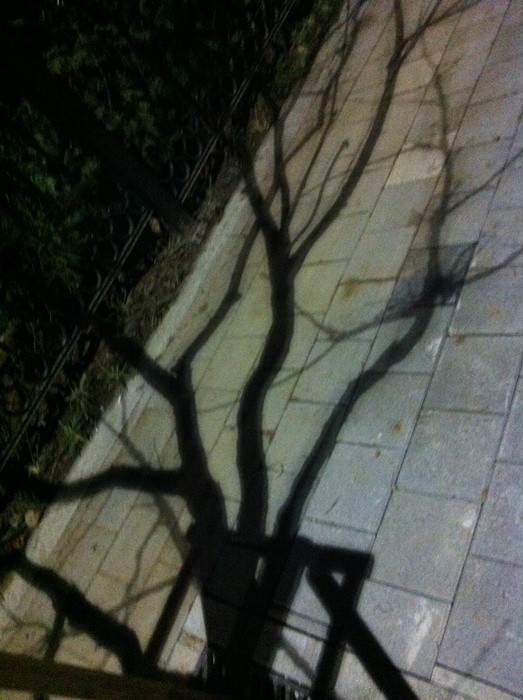 그림자1.jpg