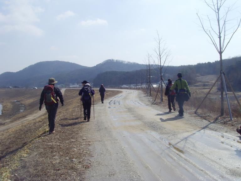 SNV39290.JPG