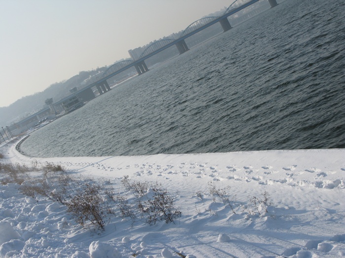 IMG_5848.JPG