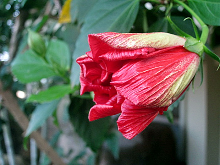 IMG_6746.JPG