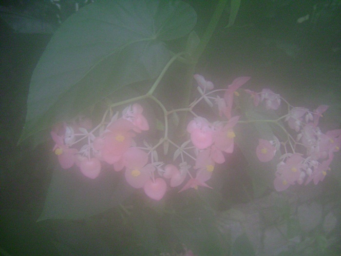 a-DSC05474.JPG
