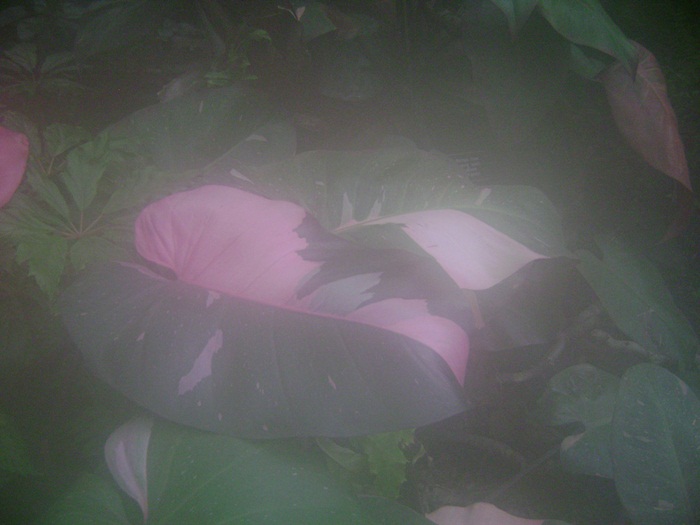 b-DSC05472.JPG