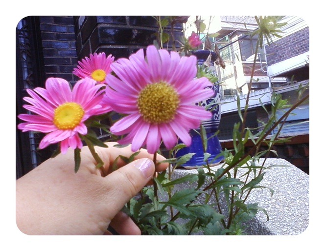 사진090828_1.jpg 사진090828_1.jpg