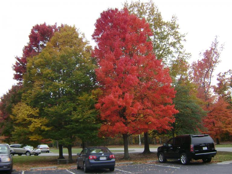 DSC05692.JPG