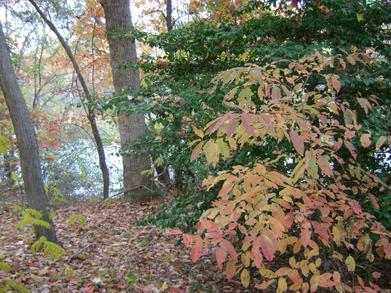 DSC05722.JPG