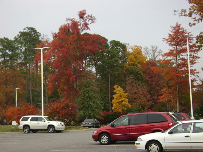 a-DSC05705.JPG
