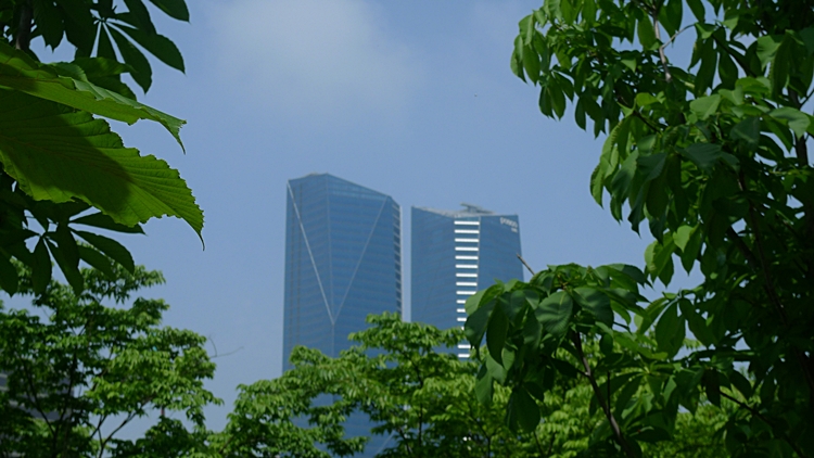 iicc-20140614-14.JPG
