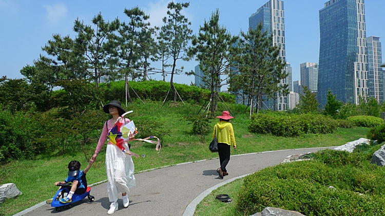 iicc-20140614-15.JPG