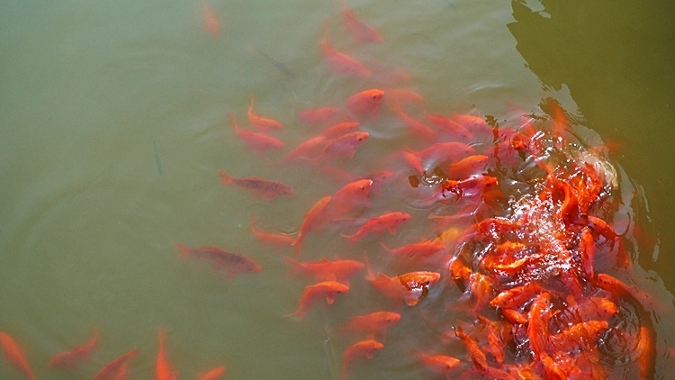 HS-20121008-016.JPG