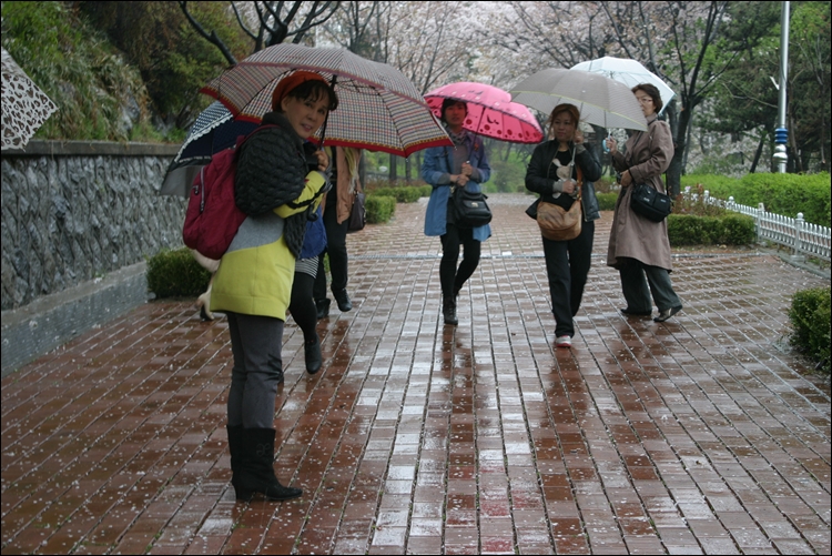 iicc-20130425-251.JPG