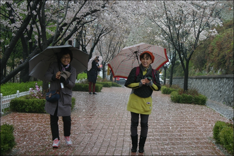 iicc-20130425-281.JPG
