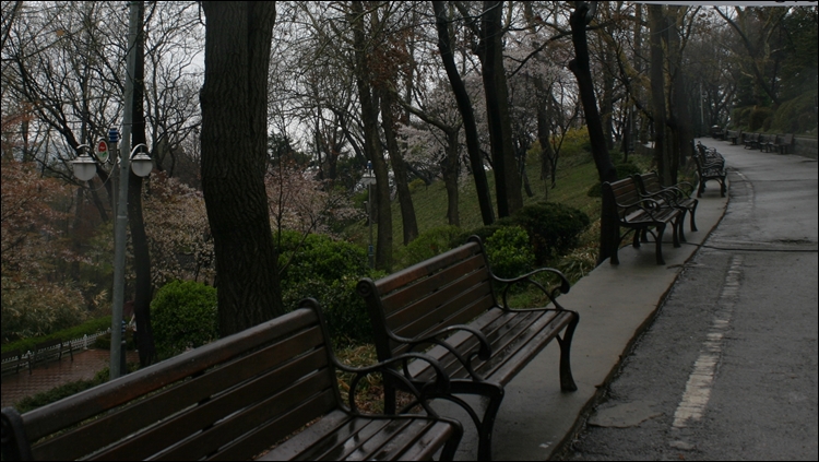 iicc-20130425-331.JPG