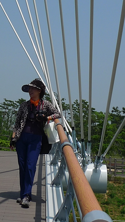 iicc-20140614-24.JPG