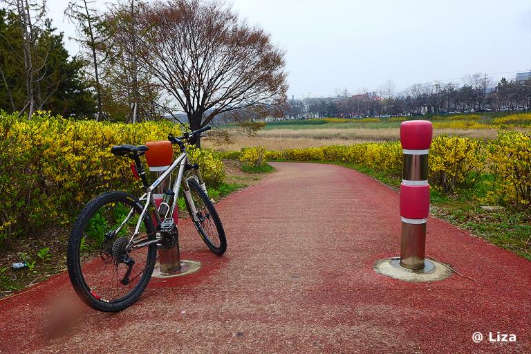 P1030200.jpg